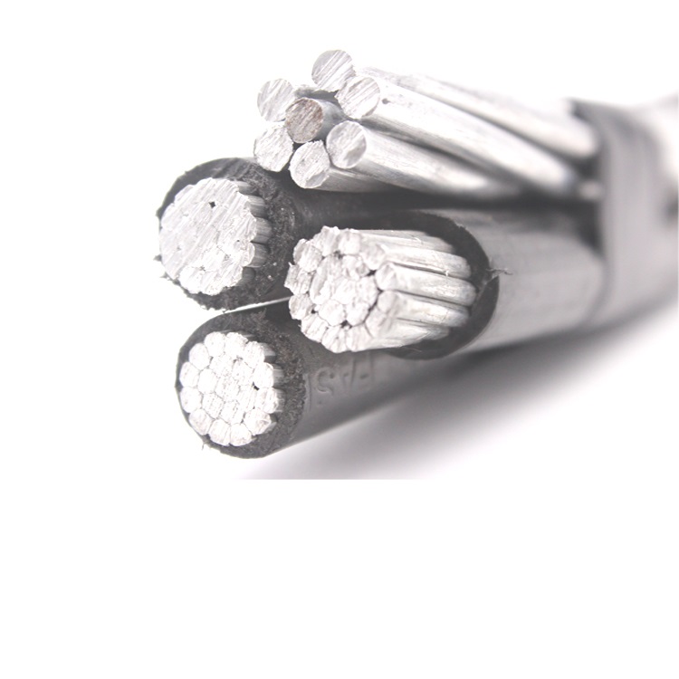 Service Drop wire  