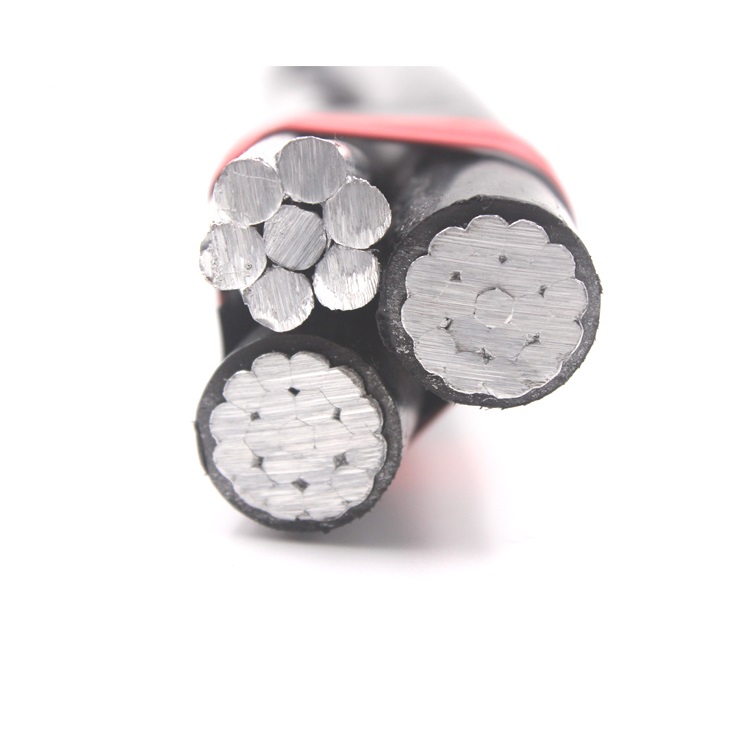 Service Drop wire  