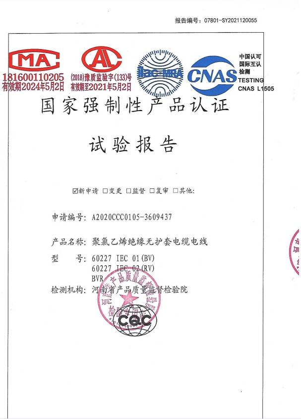 Electric wire Test Report